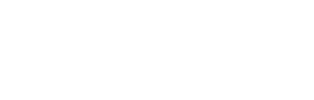 logo haimovich